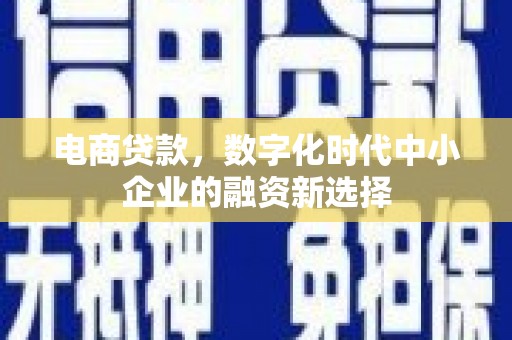 九原电商贷款，数字化时代中小企业的融资新选择