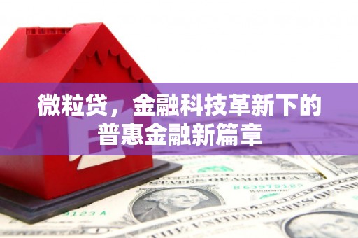 九原微粒贷，金融科技革新下的普惠金融新篇章