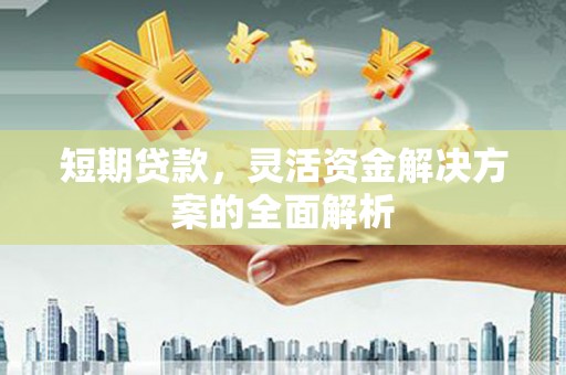 九原短期贷款，灵活资金解决方案的全面解析