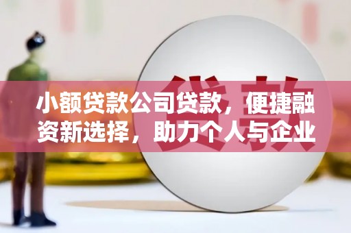 九原小额贷款公司贷款，便捷融资新选择，助力个人与企业成长