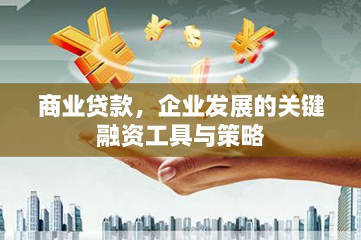 九原商业贷款，企业发展的关键融资工具与策略