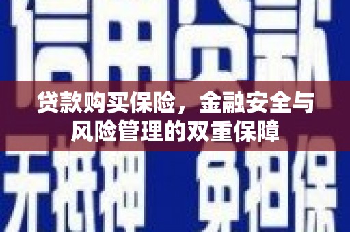 九原贷款购买保险，金融安全与风险管理的双重保障