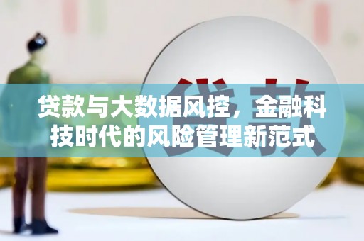 九原贷款与大数据风控，金融科技时代的风险管理新范式