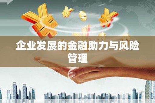 九原企业发展的金融助力与风险管理