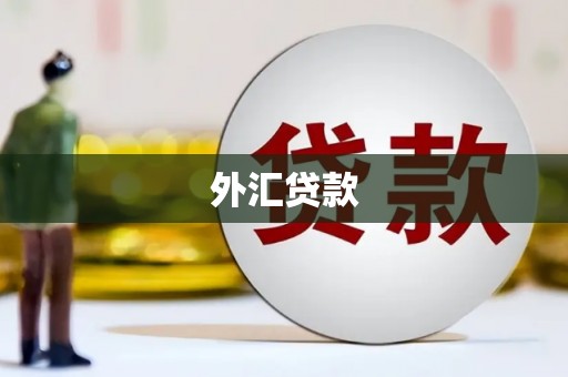 九原外汇贷款