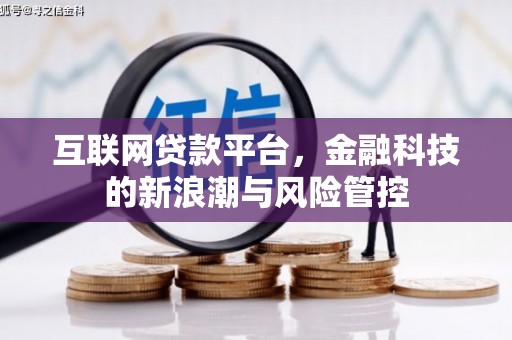 九原互联网贷款平台，金融科技的新浪潮与风险管控