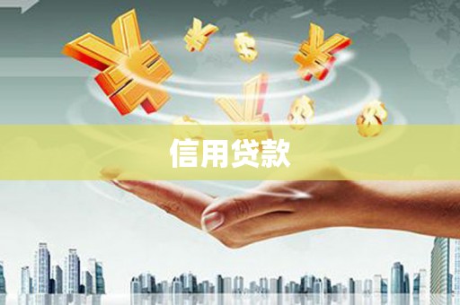 九原信用贷款