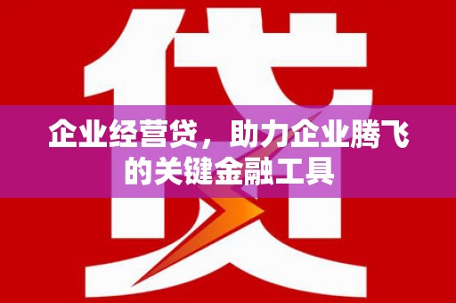 九原企业经营贷，助力企业腾飞的关键金融工具