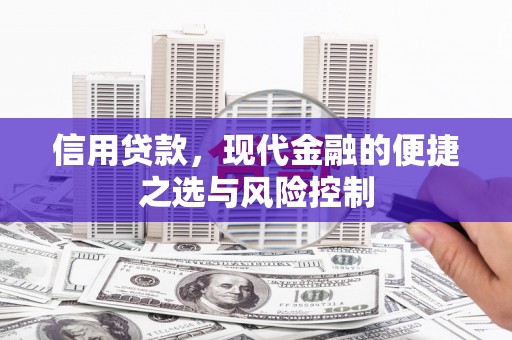 九原信用贷款，现代金融的便捷之选与风险控制