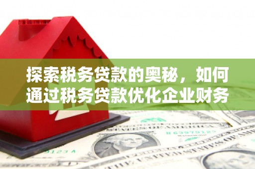 九原探索税务贷款的奥秘，如何通过税务贷款优化企业财务