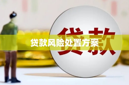 九原贷款风险处置方案