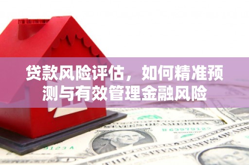 九原贷款风险评估，如何精准预测与有效管理金融风险