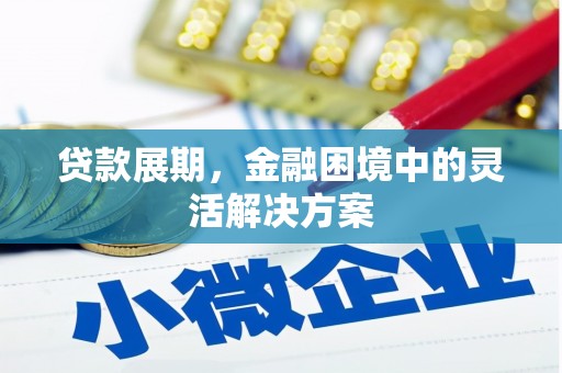 九原贷款展期，金融困境中的灵活解决方案