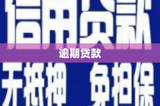 九原逾期贷款
