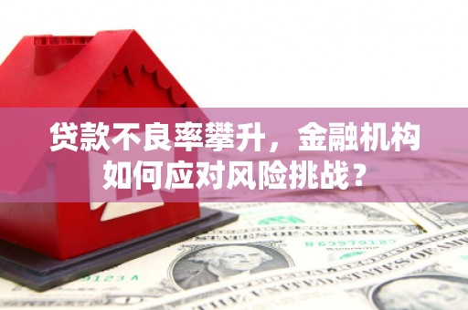 九原贷款不良率攀升，金融机构如何应对风险挑战？