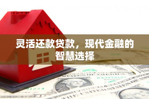 九原灵活还款贷款，现代金融的智慧选择