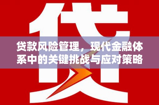 九原贷款风险管理，现代金融体系中的关键挑战与应对策略