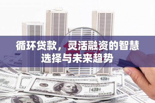 九原循环贷款，灵活融资的智慧选择与未来趋势