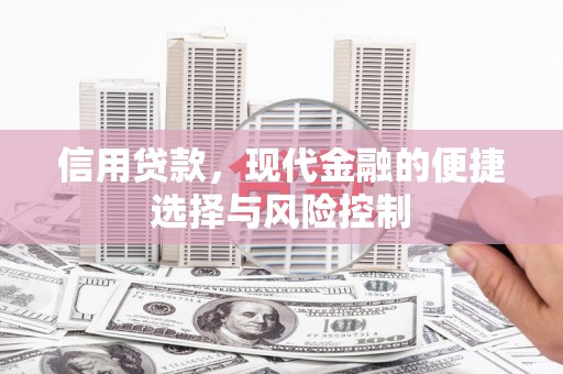 九原信用贷款，现代金融的便捷选择与风险控制