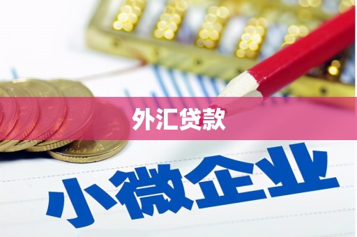 九原外汇贷款