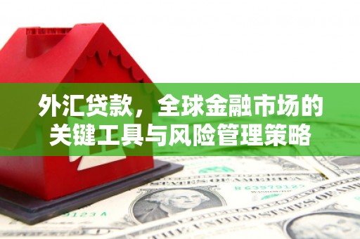 九原外汇贷款，全球金融市场的关键工具与风险管理策略