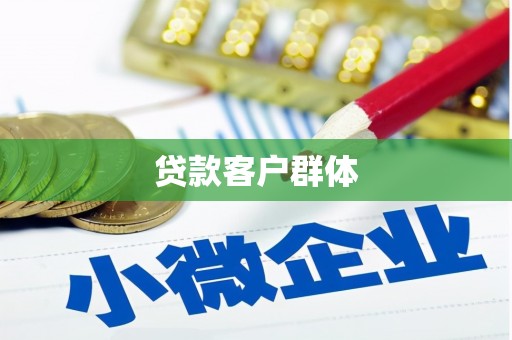 九原贷款客户群体