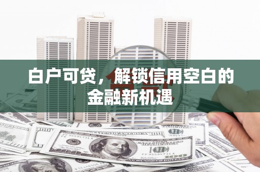 九原白户可贷，解锁信用空白的金融新机遇