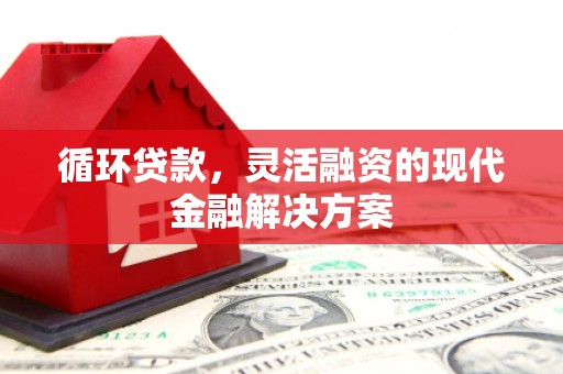 九原循环贷款，灵活融资的现代金融解决方案