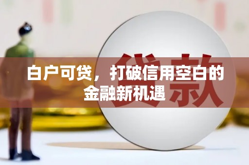 九原白户可贷，打破信用空白的金融新机遇