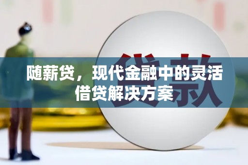 九原随薪贷，现代金融中的灵活借贷解决方案