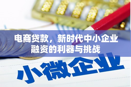 九原电商贷款，新时代中小企业融资的利器与挑战