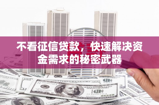 九原不看征信贷款，快速解决资金需求的秘密武器