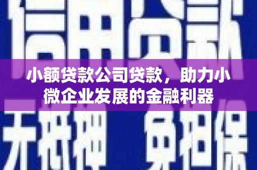 九原小额贷款公司贷款，助力小微企业发展的金融利器
