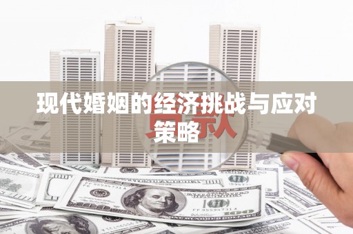 九原现代婚姻的经济挑战与应对策略