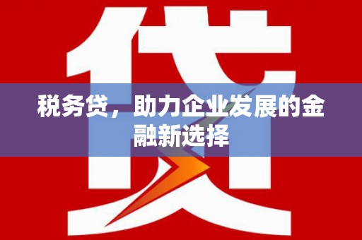 九原税务贷，助力企业发展的金融新选择
