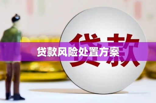 九原贷款风险处置方案