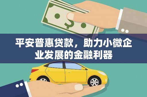 九原平安普惠贷款，助力小微企业发展的金融利器