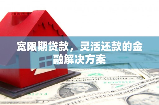 九原宽限期贷款，灵活还款的金融解决方案