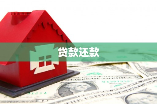 九原贷款还款