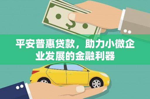 九原平安普惠贷款，助力小微企业发展的金融利器