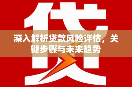 九原深入解析贷款风险评估，关键步骤与未来趋势