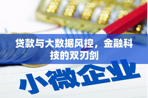 九原贷款与大数据风控，金融科技的双刃剑