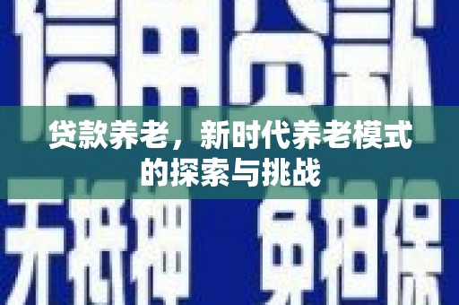 九原贷款养老，新时代养老模式的探索与挑战