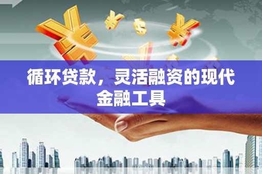 九原循环贷款，灵活融资的现代金融工具