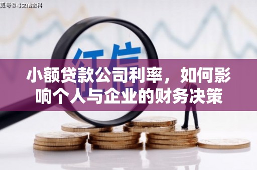 九原小额贷款公司利率，如何影响个人与企业的财务决策