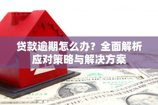 九原贷款逾期怎么办？全面解析应对策略与解决方案