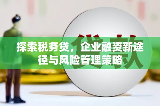 九原探索税务贷，企业融资新途径与风险管理策略