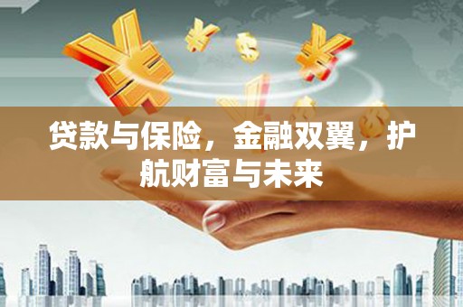 九原贷款与保险，金融双翼，护航财富与未来