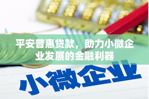 九原平安普惠贷款，助力小微企业发展的金融利器