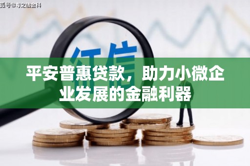 九原平安普惠贷款，助力小微企业发展的金融利器